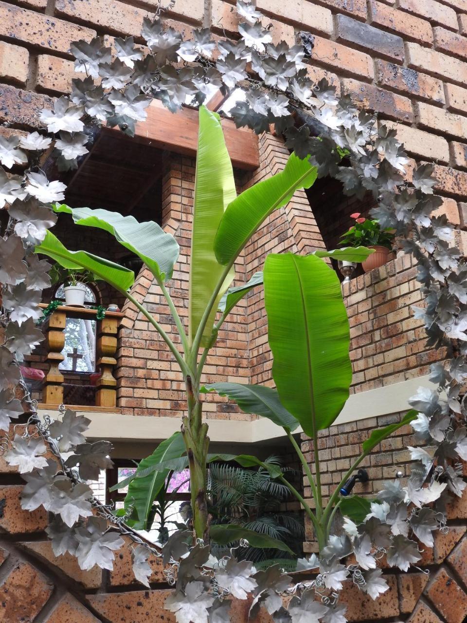Mossel Bay Guest House Ngoại thất bức ảnh