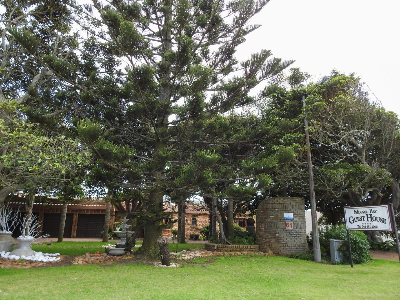 Mossel Bay Guest House Ngoại thất bức ảnh